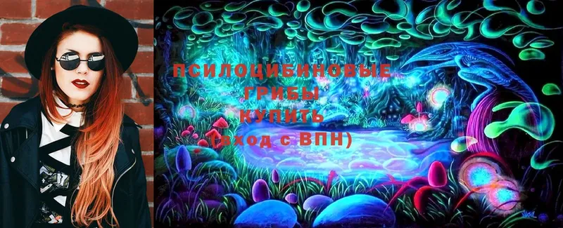 цена наркотик  darknet как зайти  Псилоцибиновые грибы MAGIC MUSHROOMS  Гаврилов-Ям 